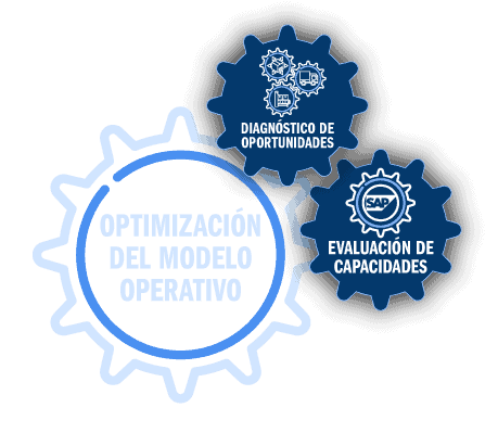 Optimización de Modelo Operativo